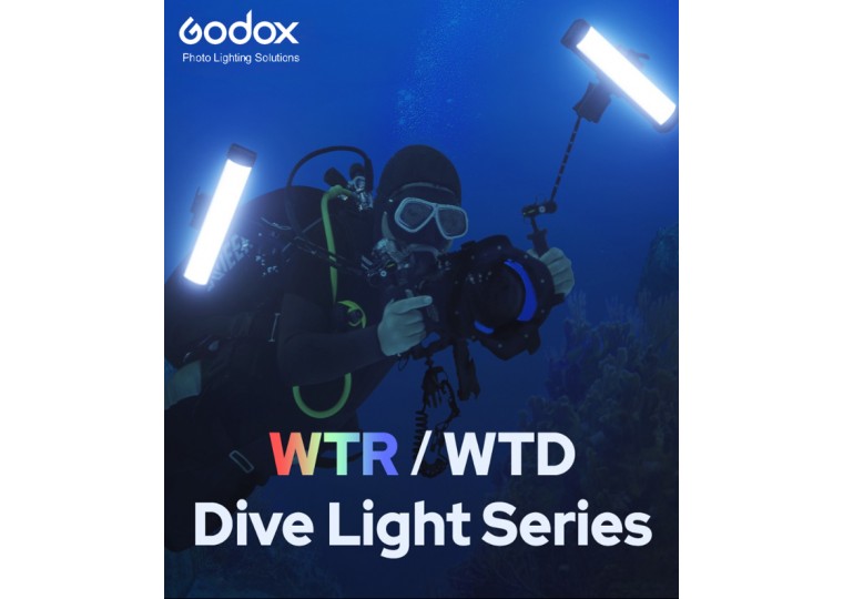 Godox WT25R WT40R WT60R RGB Diving Tube Lights